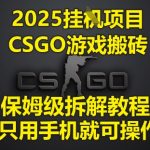 2025CSGO搬砖暴利项目：手机躺赚月入5W+ 零基础保姆级教程大揭秘！