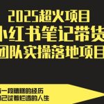 2025最火副业揭秘！小红书带货日赚500+实操攻略，团队亲测轻松月入过万