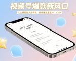 2025视频号暴利赛道！揭秘情感共鸣图文日涨粉10W+核心算法，小白秒变流量收割机！