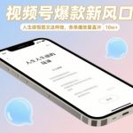2025视频号暴利赛道！揭秘情感共鸣图文日涨粉10W+核心算法，小白秒变流量收割机！