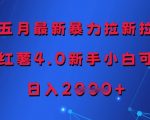 2025年5月小红书暴富新玩法！零门槛日赚1000+攻略，手把手教你薅平台4.0流量红利（附免费工具包）