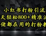 小红书引流爆粉秘籍：日吸1000+精准流量！保姆级教程亲测有效，新手当天见效