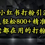 小红书引流爆粉秘籍：日吸1000+精准流量！保姆级教程亲测有效，新手当天见效