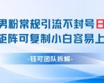 小红书男粉引流暴利新玩法！日引100+不封号秘诀大公开，新手3步矩阵复制狂揽五位收益