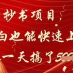 公众号抄书副业日入3000+！新手小白躺赚攻略曝光，手把手教你1天变现（附独家渠道）