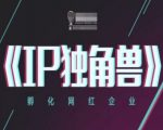 2025最新IP独角兽养成攻略：手把手教你孵化月入千万的网红企业（30天见效教程+爆款案例）