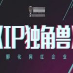 2025最新IP独角兽养成攻略：手把手教你孵化月入千万的网红企业（30天见效教程+爆款案例）