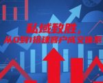 域流量疯狂变现秘籍：5步打造超高转化成交体系，3天业绩爆单！