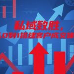 域流量疯狂变现秘籍：5步打造超高转化成交体系，3天业绩爆单！