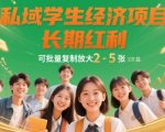 2025年最新暴利私域项目：学生市场日赚3000+秘诀，小白三天速成批量复制法！（长期躺赚）