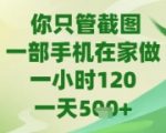 2025手机截图暴富秘籍！在家日赚500+ 苹果安卓通用 新手日入5张【限时揭秘】