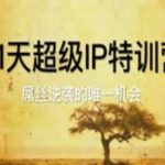 21天从0到1打造超级IP：零基础月入10万+手把手教学，限时开放！