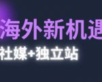 2025出海新机遇终极指南！社媒+独立站双引擎驱动，零基础也能打造百万流量闭环！