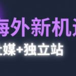 2025出海新机遇终极指南！社媒+独立站双引擎驱动，零基础也能打造百万流量闭环！