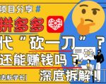 2025拼多多代砍暴利玩法！揭秘月入过万躺赚攻略（附全流程拆解）