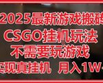 2025年躺赚暴利！CSGO全自动挂机日赚500+零门槛教程【手把手教学】