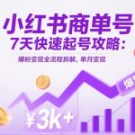 小红书商单号7天涨粉10万：2023最新零基础变现秘籍，手把手教你日入1000+保姆级教程