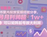 小红书聚光投放暴力玩法揭秘：矩阵复制月入10W+躺赚攻略（2024最新）