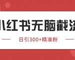 小红书同行截流日引100+！2024不封号野路子获客术【保姆级教程】当天见效