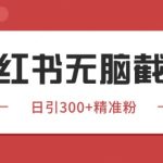 小红书同行截流日引100+！2024不封号野路子获客术【保姆级教程】当天见效
