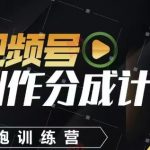 视频号分成计划：7天手把手教你月入过万！新手必学的被动收入副业