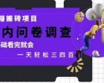 5最新暴利副业！国内问卷调查日赚500+ 0基础当天提现 正规平台手把手教学 全职兼职皆可的躺赚秘籍大公开