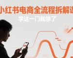 2024最新小红书电商爆单秘籍：零基础7天速成课！从选品到变现全流程实操指南，手把手教你月入10万+