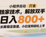 2025最新躺赚攻略！小程序全自动打金日入800+暴利项目 零门槛保姆级教程 宝妈小白轻松月入3W+【附源码技术】