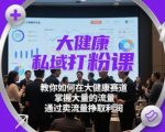 大健康私域变现终极指南：爆粉日入10万+的躺赚秘籍 | 手把手教你私域流量百万变现全攻略