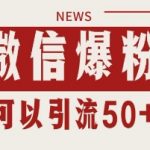 微信私域引流暴利秘籍2025：单号日吸1000+精准粉 躺赚50+实操全攻略