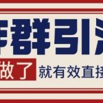 引流爆单秘籍：炸群战术当天狂收300+精准客资 单号稳定日赚1000+实操全解析
