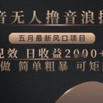 无人直播音浪掘金爆肝实测！2025五月最暴利风口当天见效日入5000+ 小白躺赚秘籍+矩阵玩法全揭秘