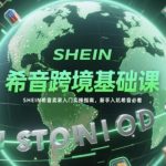 2024最新希音跨境爆单全攻略！新手3天速成SHEIN百万卖家秘籍（附独家避坑指南）