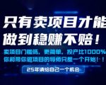 2025稳赚不赔暴利项目揭秘！零门槛小白轻松年入百万惊人内幕