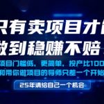 2025稳赚不赔暴利项目揭秘！零门槛小白轻松年入百万惊人内幕