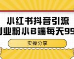 小红书抖音创业粉暴增秘籍：日引100+小B端精准流量实操教程，手把手教你被动吸金变现！