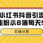 小红书抖音创业粉暴增秘籍：日引100+小B端精准流量实操教程，手把手教你被动吸金变现！