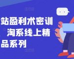 无界全站暴利盈利术22.0揭秘：淘宝天猫7天速成日赚10万实战教程