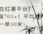 小红书抄书赚钱日入300+！新手当天提现秘籍曝光，副业月入过万真香！