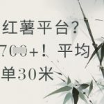 小红书抄书赚钱日入300+！新手当天提现秘籍曝光，副业月入过万真香！
