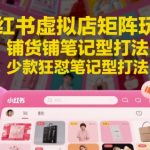 小红书虚拟店矩阵暴利玩法！月入10万+的铺货笔记秘籍，新手必看2023最新变现攻略