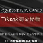 2025TikTok跨境爆单攻略：新手7天破万粉，0成本躺赚秘籍大公开！