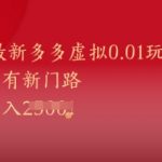 5今日爆火！官方内测多多虚拟0.01元玩法：零成本躺赚日赚5000+（小白秒上手）