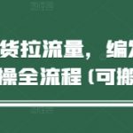 短视频带货3天破百万流量！零基础搬运编发视频爆单秘籍｜新手必看全流程实操