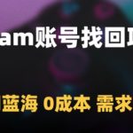 STEAM账号找回暴利项目揭秘！零门槛零成本冷门赛道 2025年需求井喷 轻松月入过万终极方案