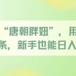 唐朝胖妹爆火！日更3条狂赚1000+ 零基础3步躺赚秘籍