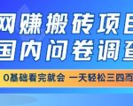 5最火网创暴利项目！国内问卷调查小白躺赚日入300+攻略，手把手教你月入过万秘籍！