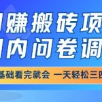 5最火网创暴利项目！国内问卷调查小白躺赚日入300+攻略，手把手教你月入过万秘籍！