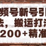 视频号搬运引流爆量秘籍！日引300+精准粉实战教程，矩阵操作轻松月入10万+（附独家工具包）