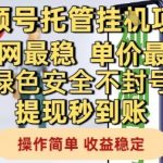 视频号托管挂G项目2024最新内部渠道流出！日入过万+全网独家最稳模式！高单价不封号秒提现！小白轻松躺赚攻略大曝光